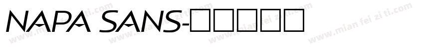 NAPA SANS字体转换